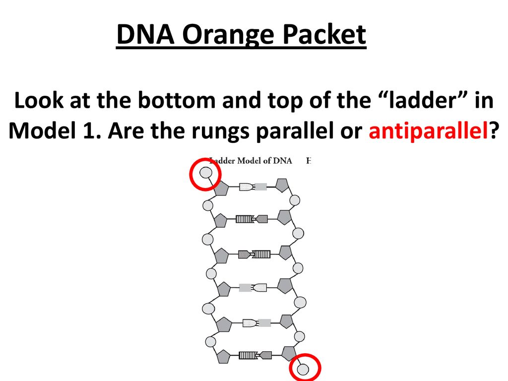 On Target Do This On Your Warm Up Worksheet Ppt Download