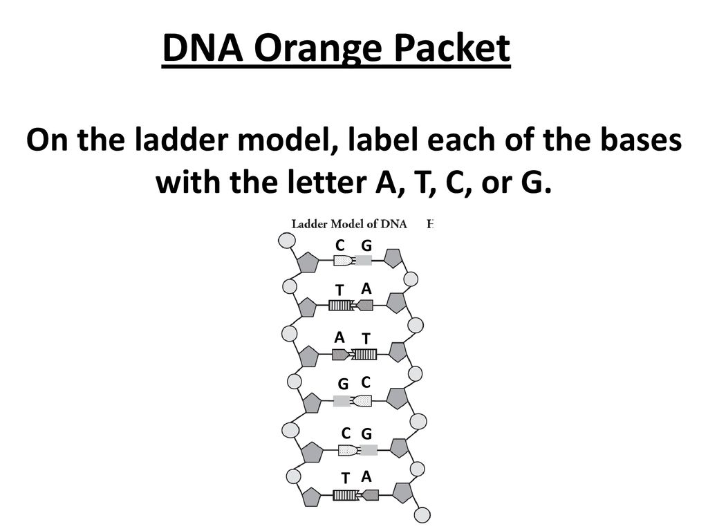 On Target Do This On Your Warm Up Worksheet Ppt Download