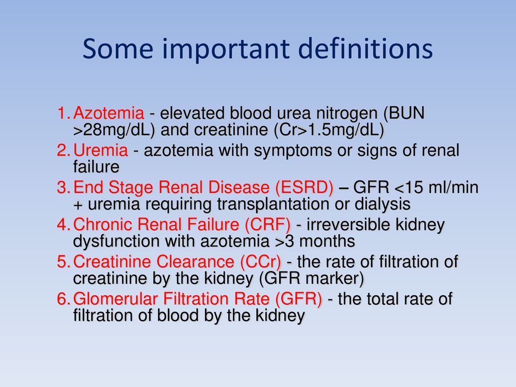 Minding The Kidney In T2dm - Ppt Download