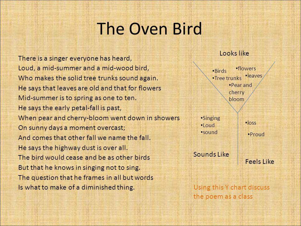 the oven bird meaning