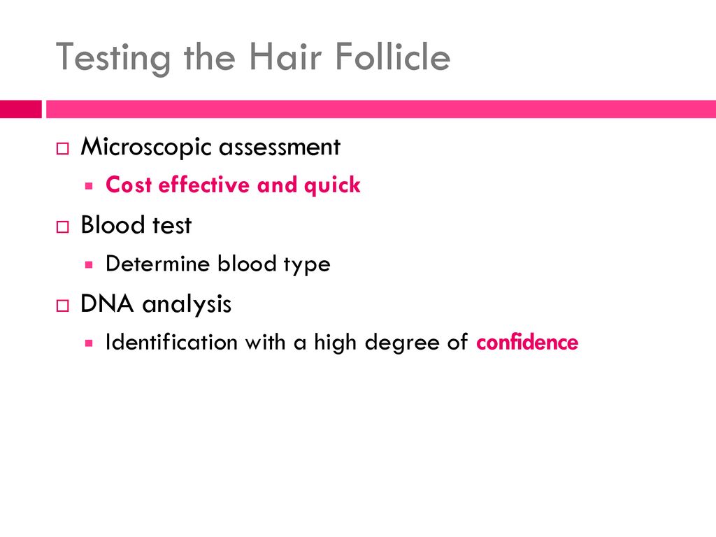 CHAPTER 3 THE STUDY OF HAIR. - ppt download