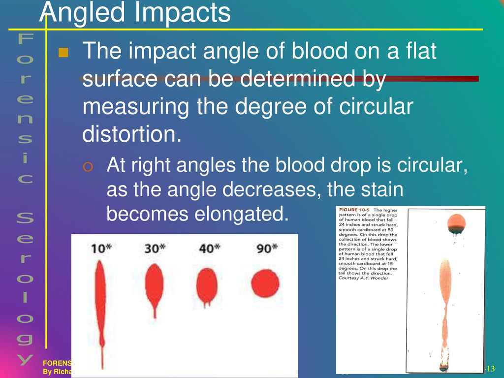 Forensic Serology & Blood Splatter Analysis - ppt download