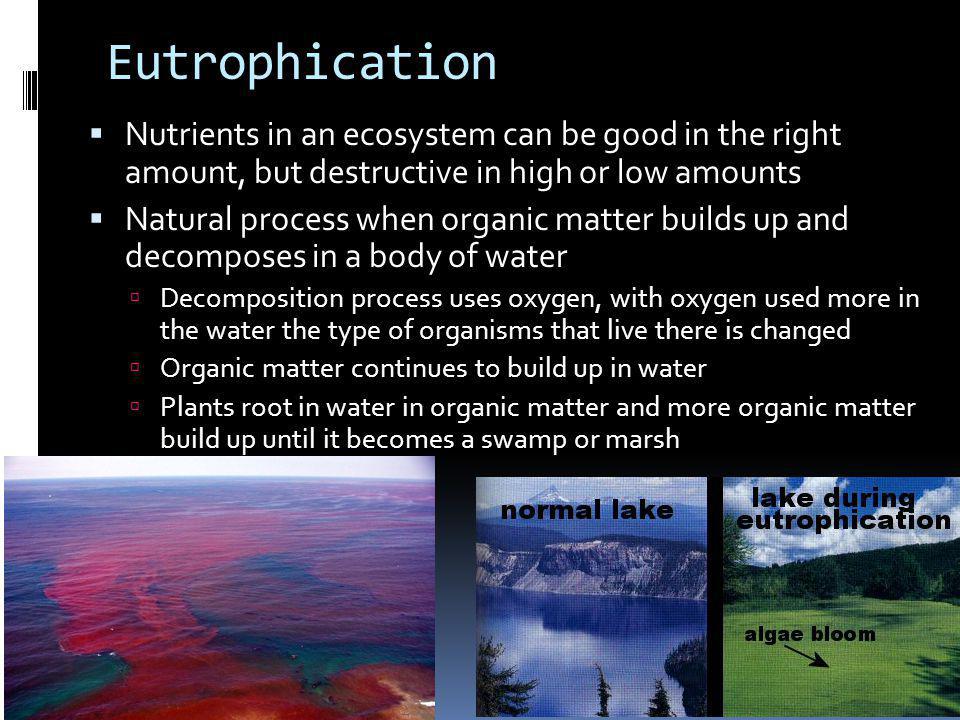 Eutrophication Nutrients in an ecosystem can be good in the right amount, but destructive in high or low amounts.