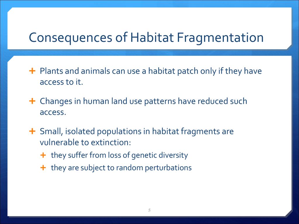 Your oral presentations 5 min max Biology Diagrams