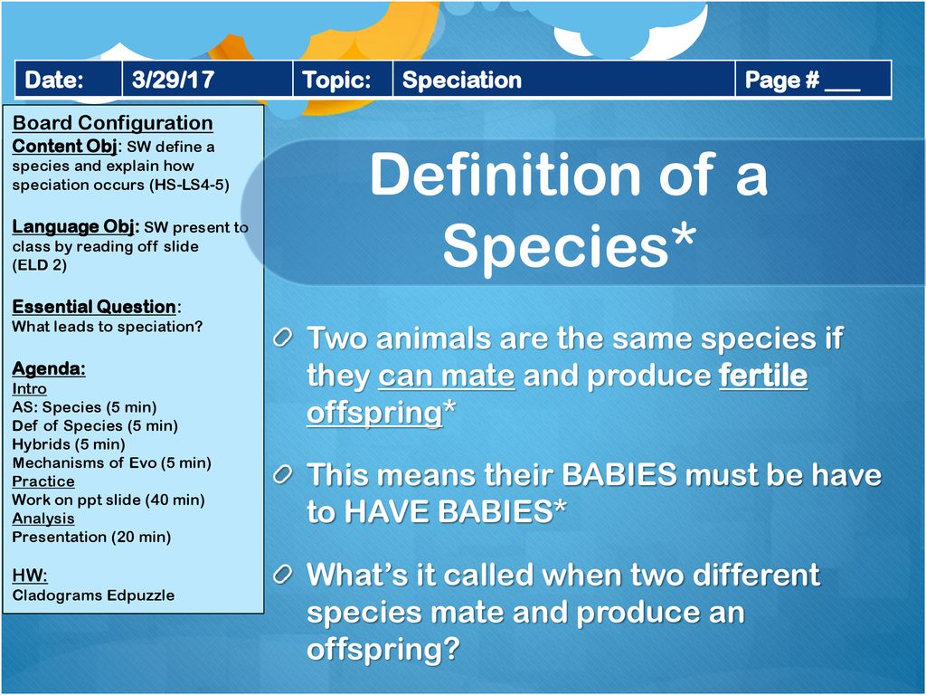 How do we know if two animals are the same species? - ppt download