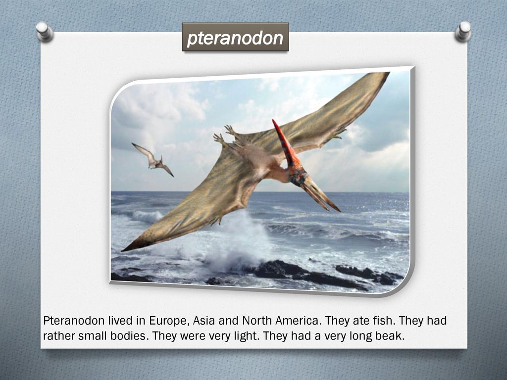 dinosaurs lived 150 million years ago - ppt download