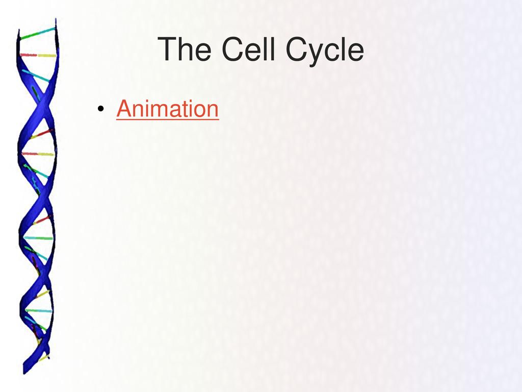 Cell Growth and Division Biology Diagrams