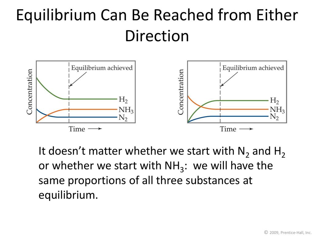 Equilibrium Can Be Reached from Either Direction