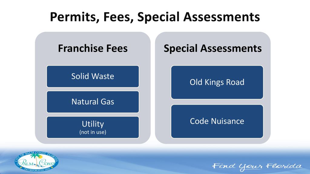 Fund Accounting & Revenue Overview - ppt download