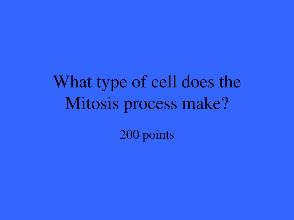 What type of cell does the Mitosis process make