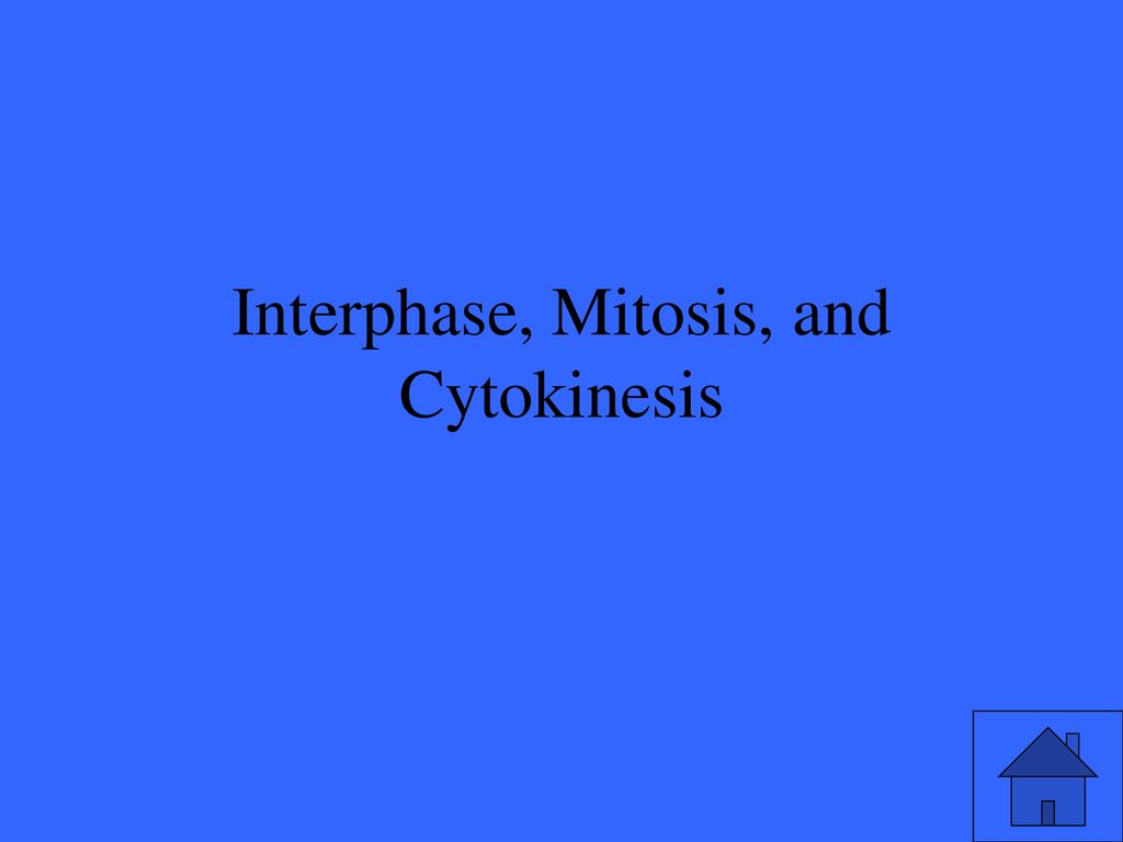 Interphase, Mitosis, and Cytokinesis