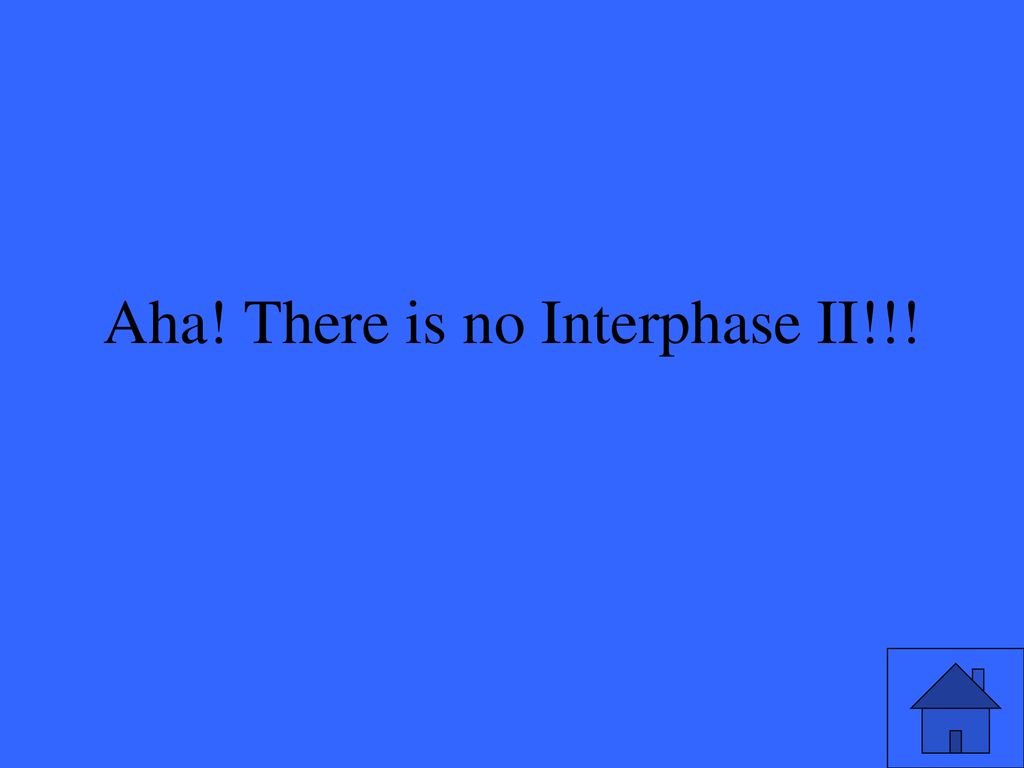 Aha! There is no Interphase II!!!
