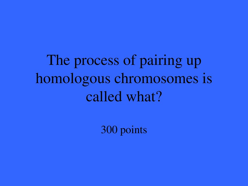 The process of pairing up homologous chromosomes is called what