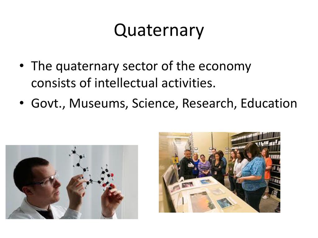 Image result for services of quaternary sector