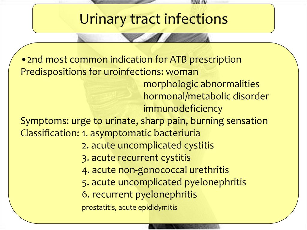 Therapy of urinary tract infections - ppt download