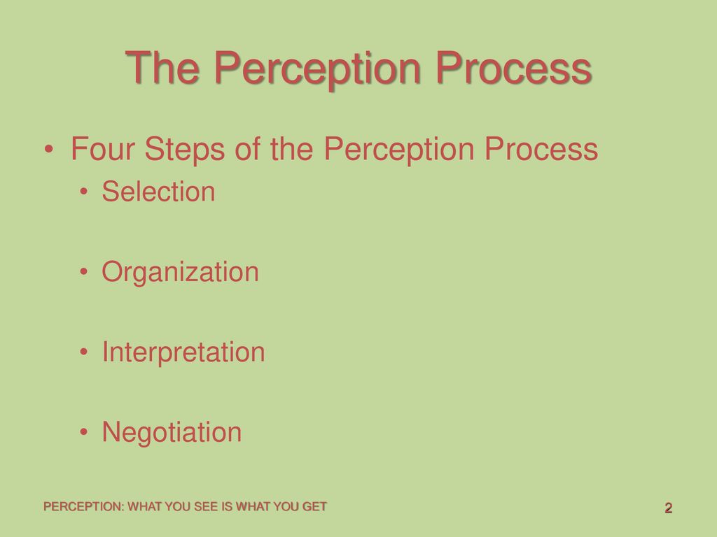 describe the perception process