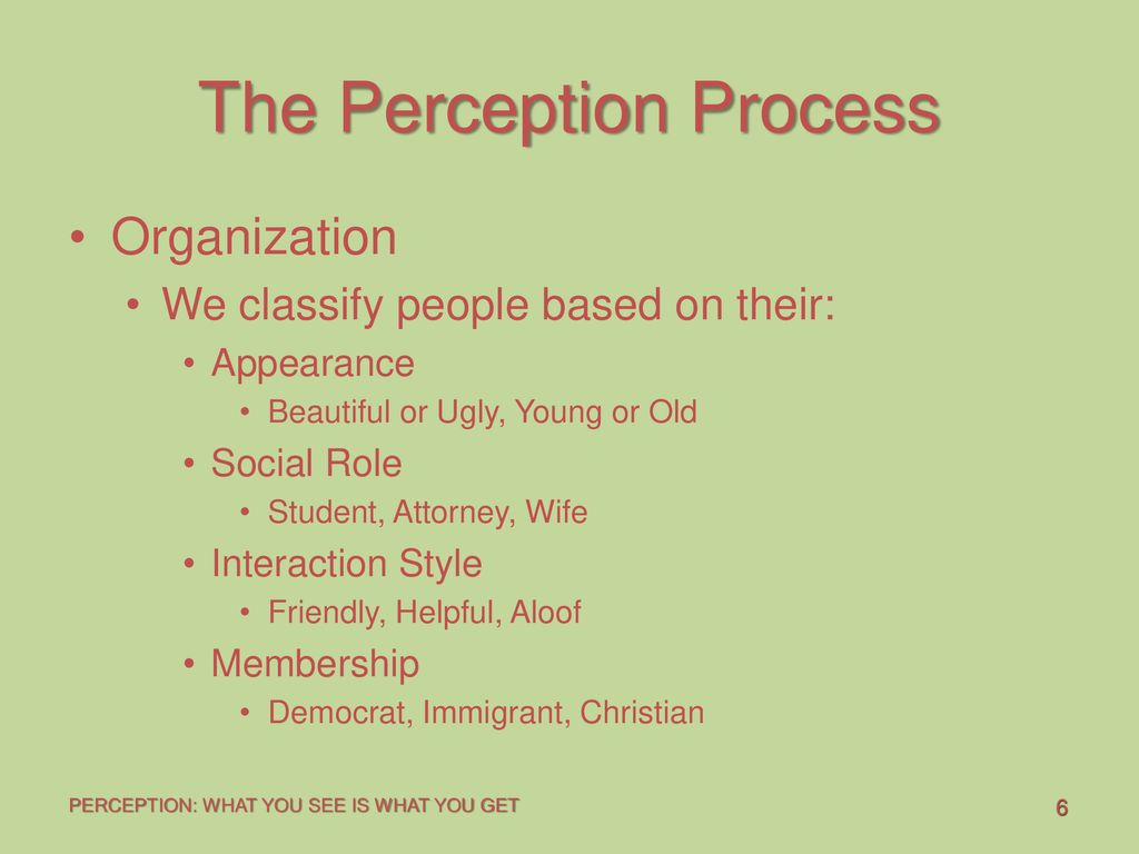 Perception Chapter topics The Perception Process - ppt download
