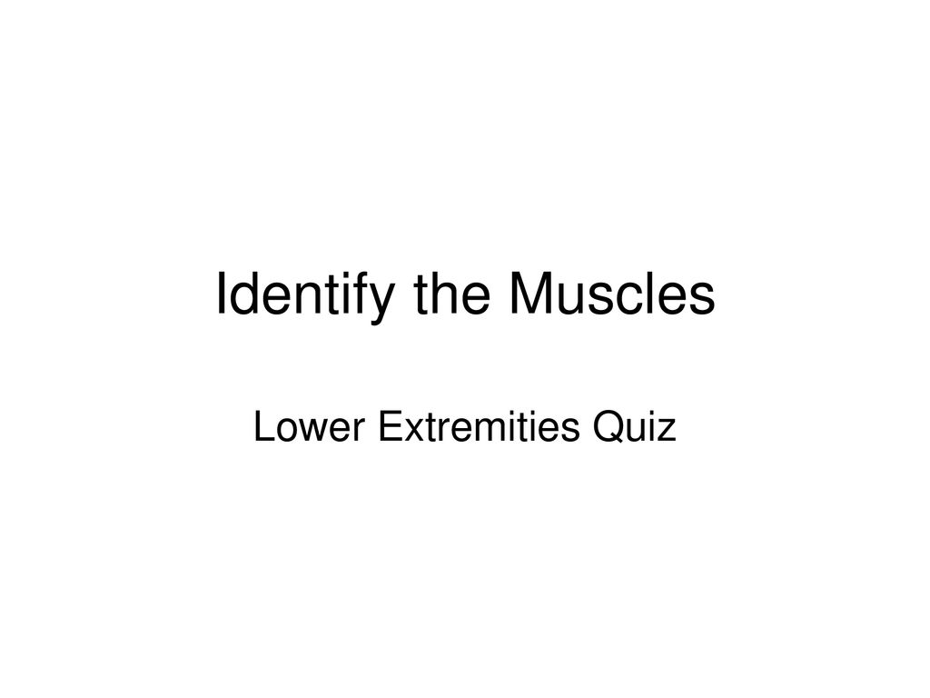 lower-extremities-quiz-ppt-download