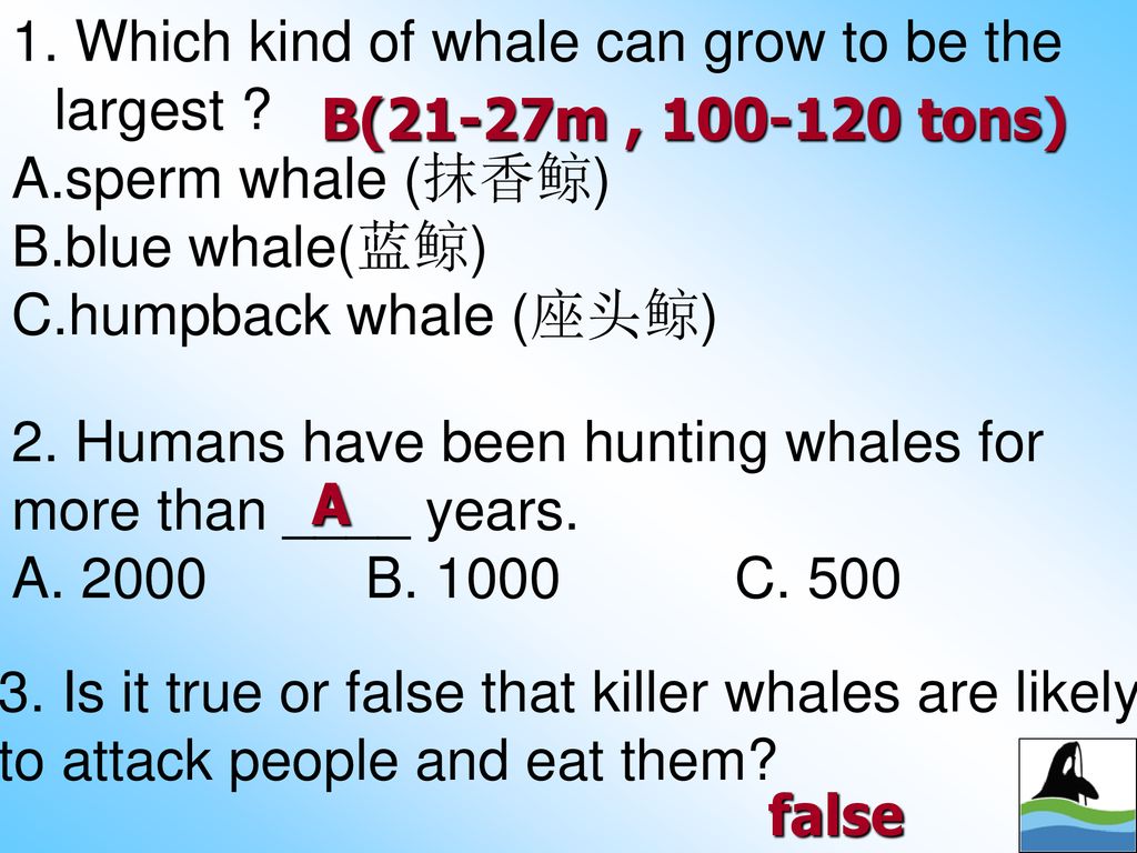 Unit3 Under The Sea. - ppt download
