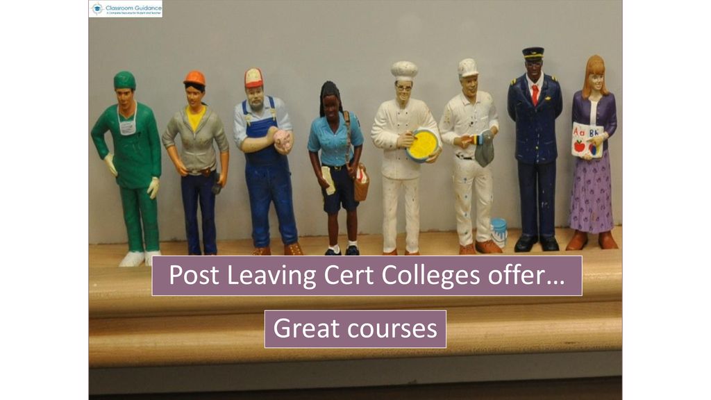 Post Leaving Cert Colleges offer…