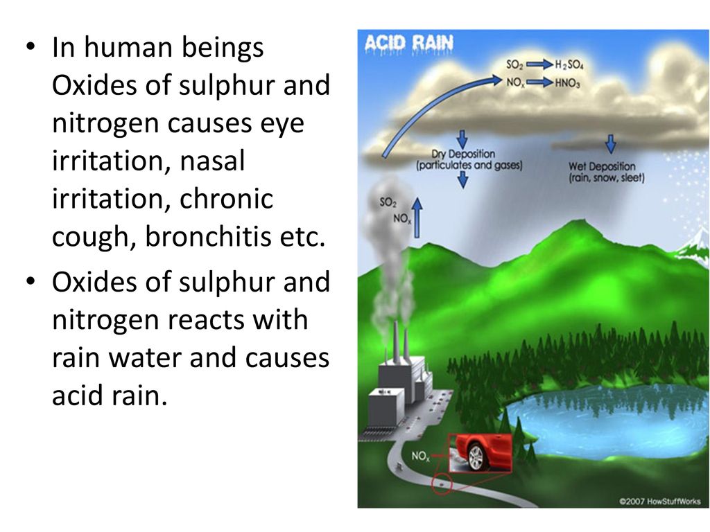 . Chapter 16. Environmental Issues.. ppt download