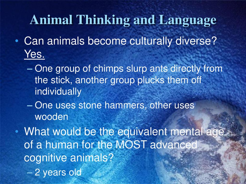 Language Structure, Development and Thinking - ppt download
