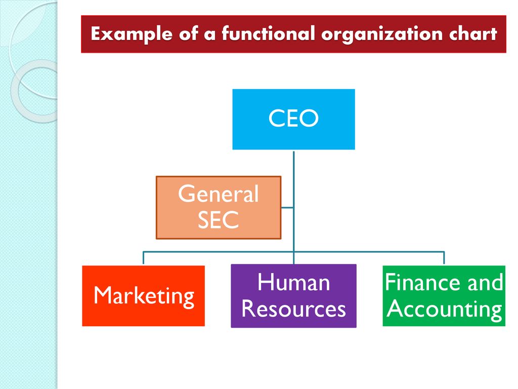 Accounting Organizational Chart Example