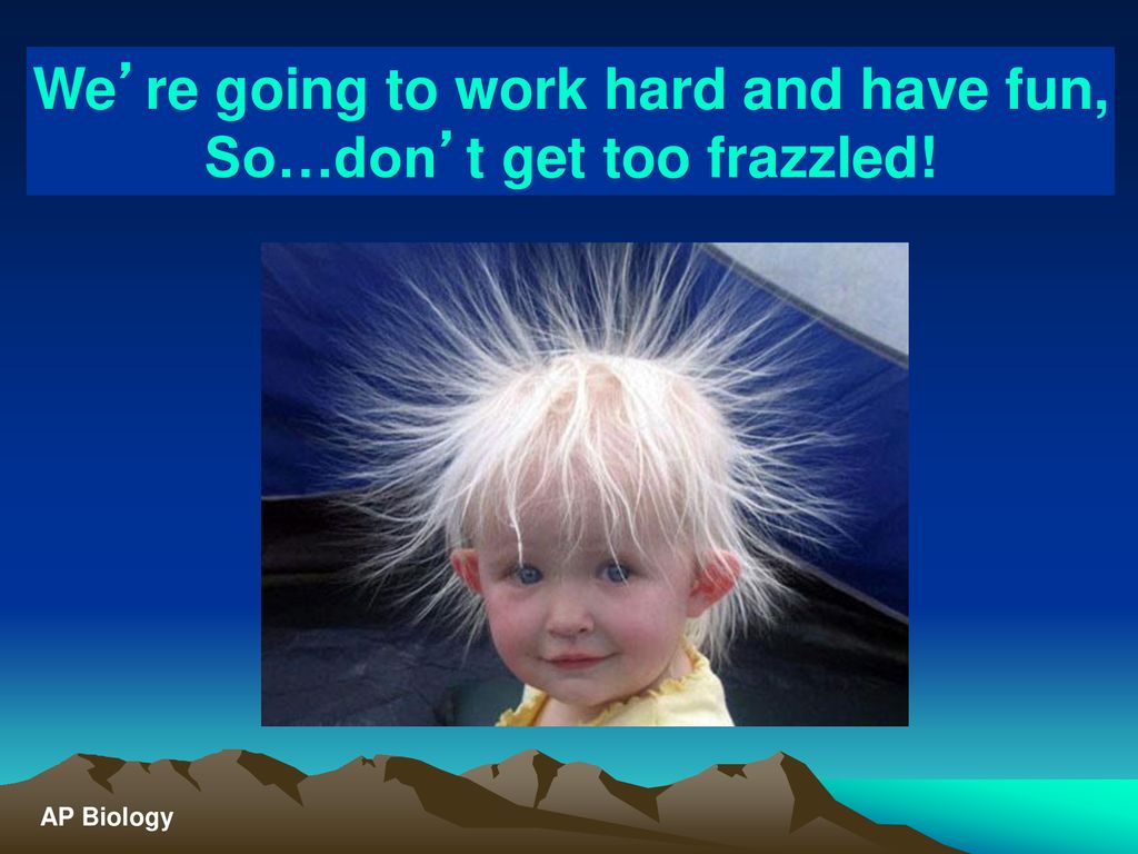 We’re going to work hard and have fun, So…don’t get too frazzled!