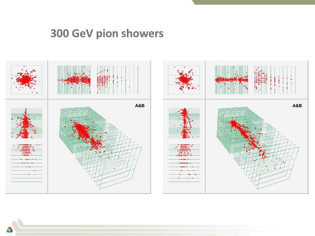 300 GeV pion showers