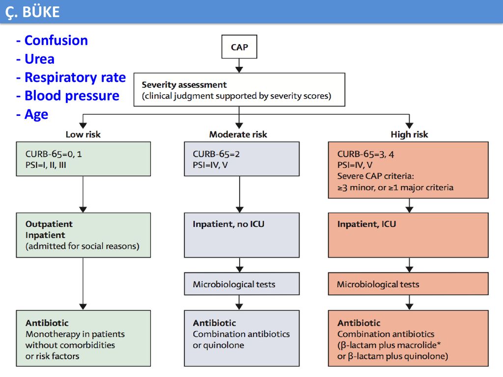 Community Acquired Pneumonia Ppt Download