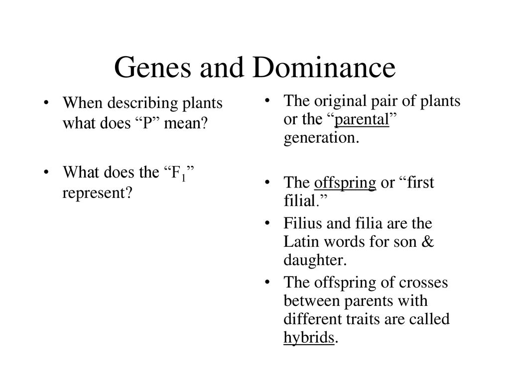 Chapter 11 Intro To Genetics Ppt Download chapter-11-intro-to-genetics-ppt-download