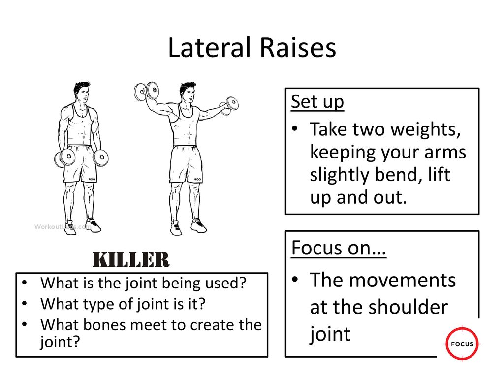 Lateral Raises Focus on… The movements at the shoulder joint Set up