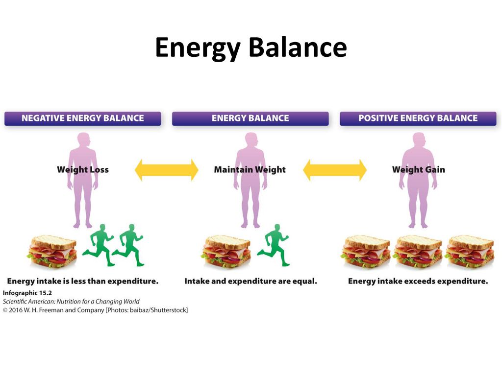 Energy Balance and Obesity - ppt download