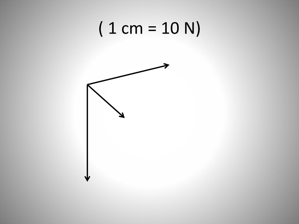 ( 1 cm = 10 N)