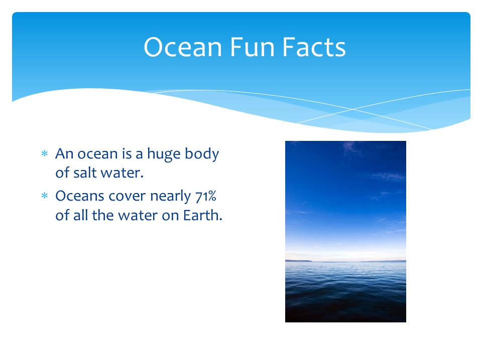Ocean Fun Facts An ocean is a huge body of salt water.
