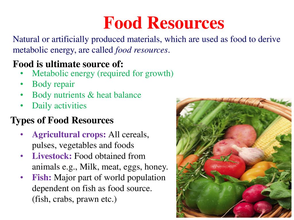 Food Mineral Resources Ppt Download