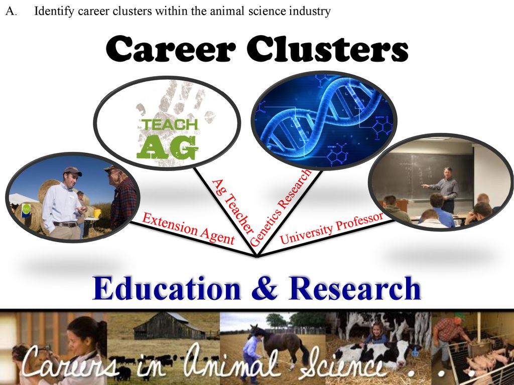 Careers in Animal Science - ppt download