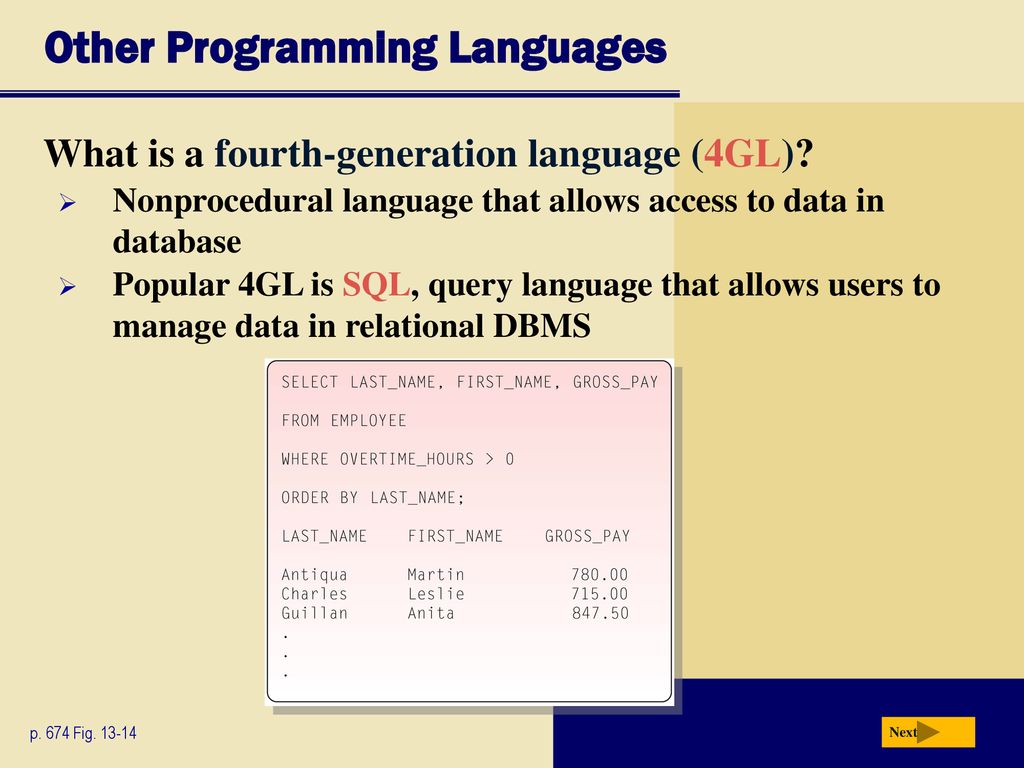 Chapter 13 Programming Languages and Program Development - ppt download