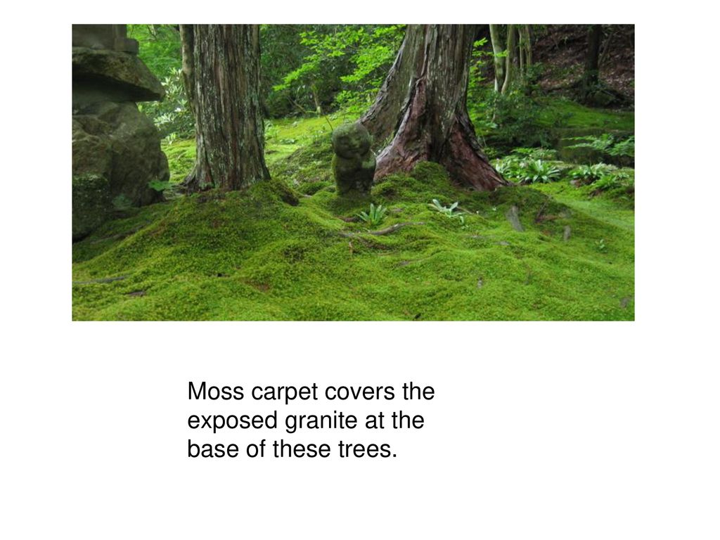 Weathering And Soil Formation Ppt Download