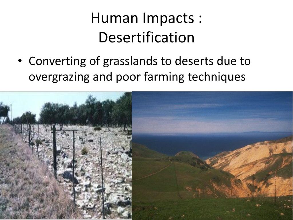 Human Impacts : Desertification