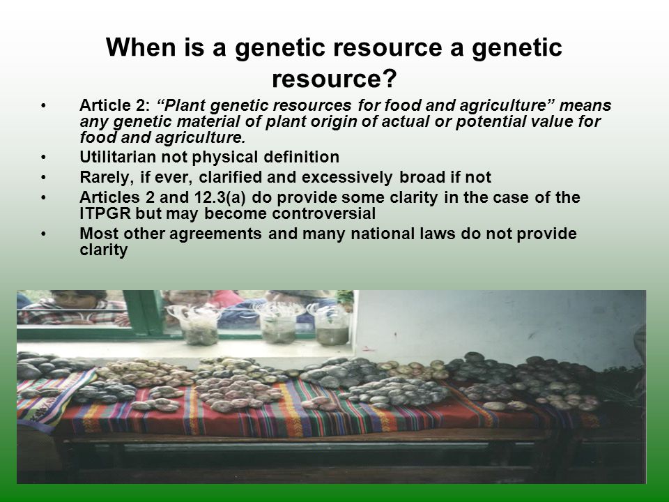 When is a genetic resource a genetic resource