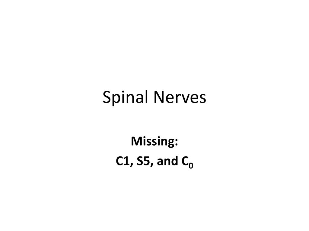 Spinal Nerves Missing: C1, S5, and C0