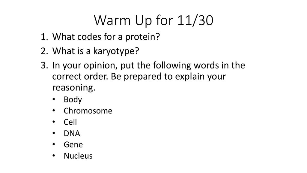 Warm up for 11 30 what codes for a protein what is a karyotype ppt