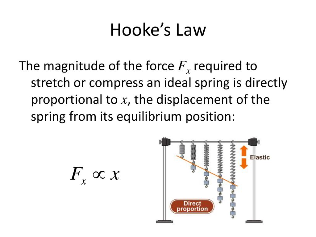 Elasticity Hooke's Law : the extension in an elastic string is