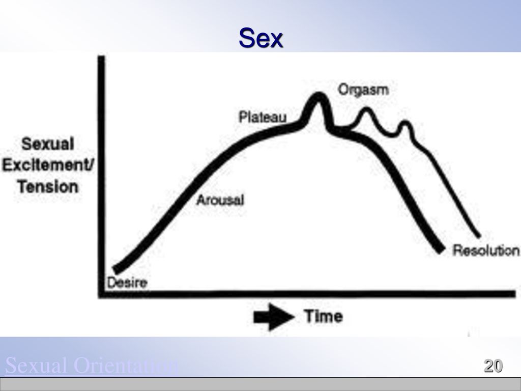 Половое возбуждение. Стадия плато. Фазы полового возбуждения. Возбуждение плато оргазм. Плато оргазм плато оргазм.