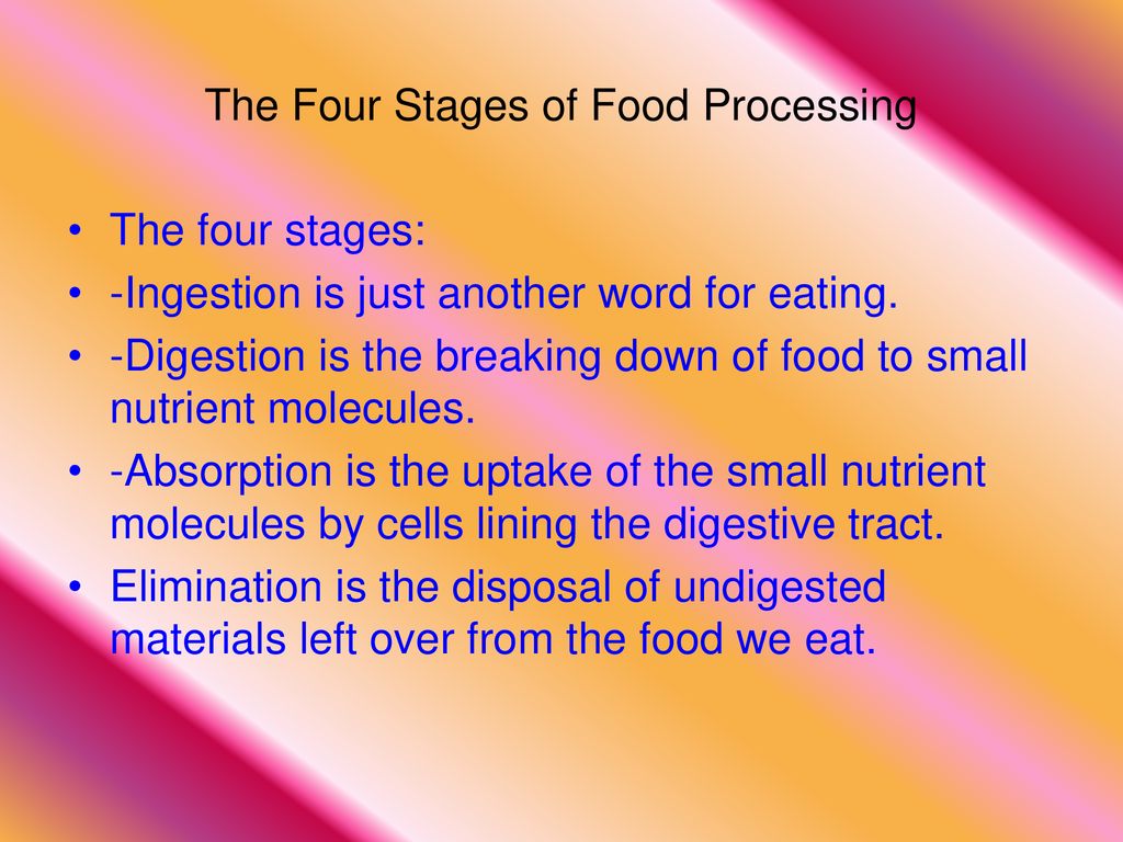 By Liam Finley And Sydnay Jordan Ppt Download by-liam-finley-and-sydnay-jordan-ppt-download