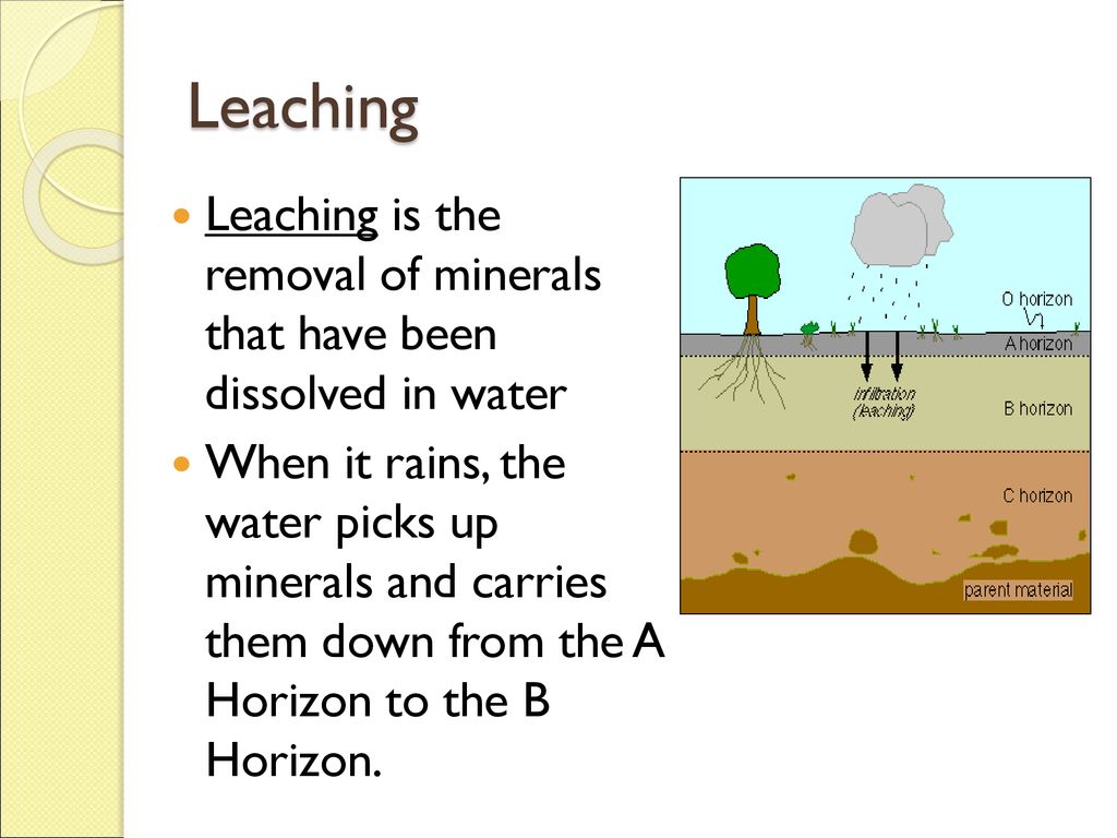 The Nature Of Soil Essential Question Ppt Download the-nature-of-soil-essential-question-ppt-download