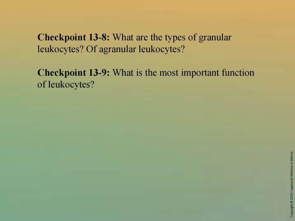 Checkpoint 13-8: What are the types of granular leukocytes
