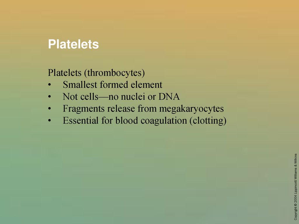 Platelets Platelets (thrombocytes) Smallest formed element