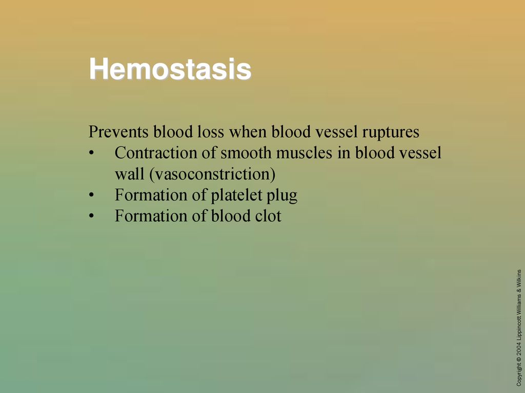 Hemostasis Prevents blood loss when blood vessel ruptures